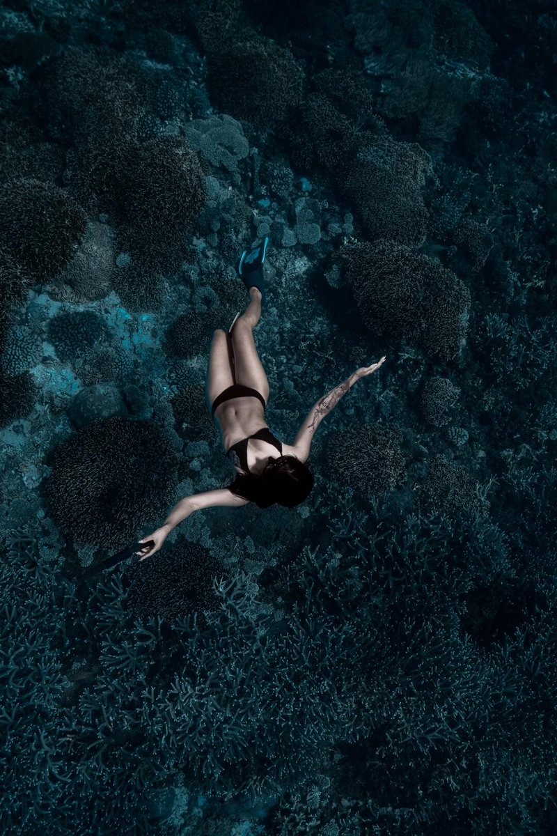 kersley36's tweet photo. Immerse yourself in the deep blue world and dance with nature. 🌊🧜♀️✨ #TheBeautyoftheOcean #DivingTime #diving https://t.co/ZP7V1WBcX7