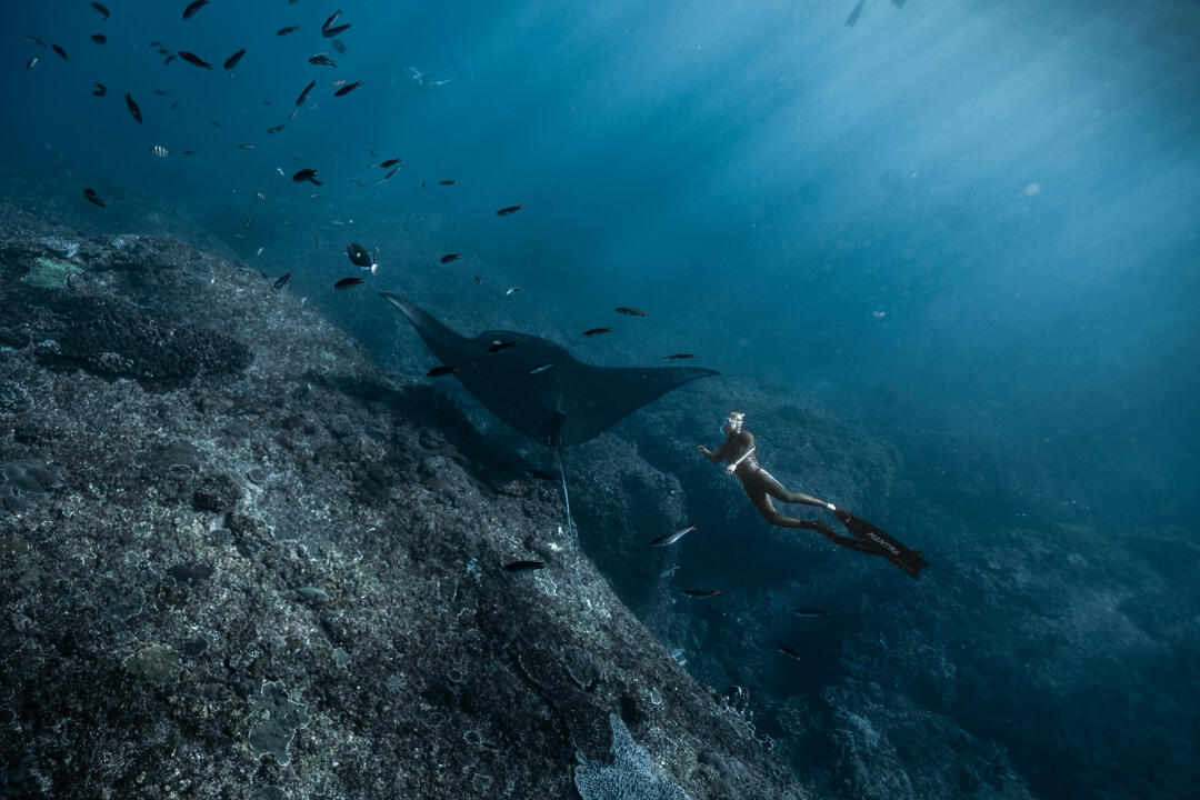kersley36's tweet photo. Immerse yourself in the deep blue world and dance with nature. 🌊🧜♀️✨ #TheBeautyoftheOcean #DivingTime #diving https://t.co/ZP7V1WBcX7