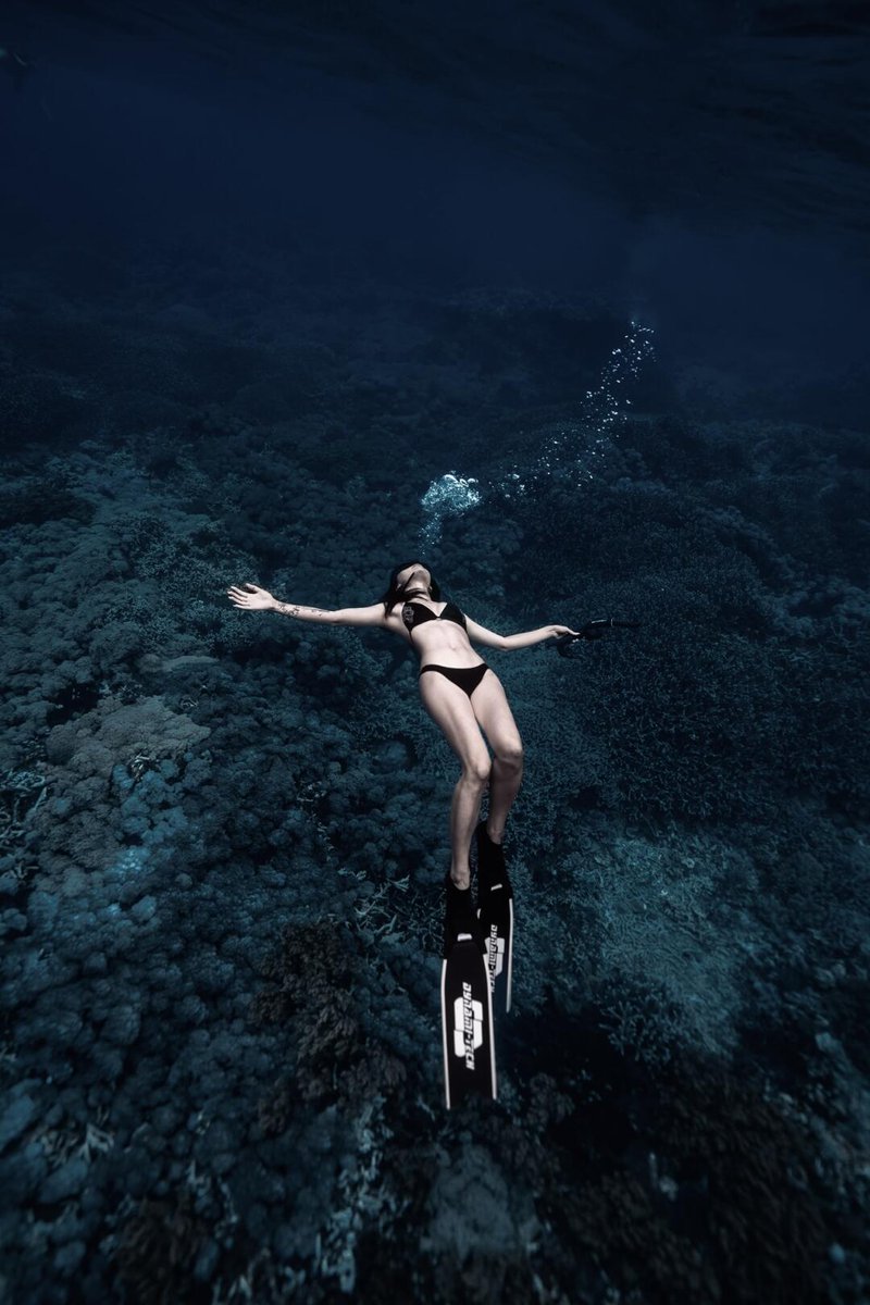 kersley36's tweet photo. Immerse yourself in the deep blue world and dance with nature. 🌊🧜♀️✨ #TheBeautyoftheOcean #DivingTime #diving https://t.co/ZP7V1WBcX7