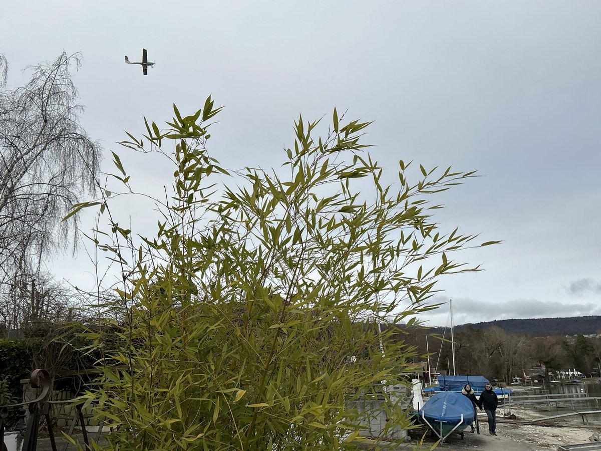 stadtwanderer_'s tweet photo. #Areuse
Das Herrenhaus Le Bied an einer schönen Allee zwischen dem Neuenburgersee und dem Flugplatz Bourdry war im 18. Jahrhundert Hauptsitz einer Manufaktur für Indiennes-Stoffe, die von Hugenotten betrieben wurde. https://t.co/hQHJL7LndU