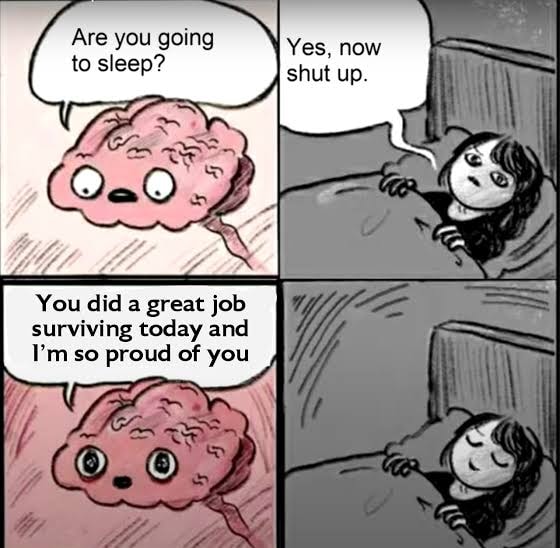 Respectful Memes tweet media