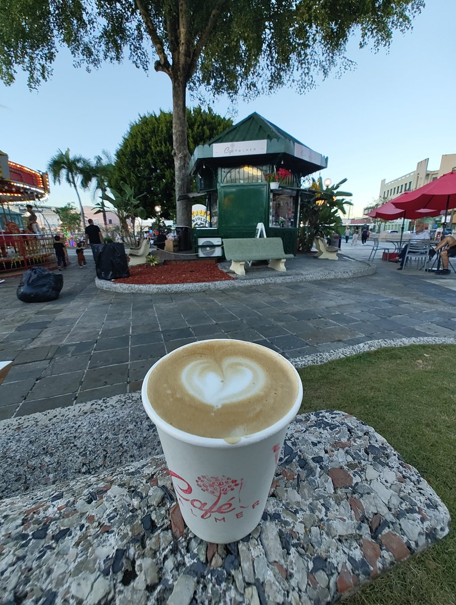 ¡Feliz domingo #coffeelovers desde Café Palmer!