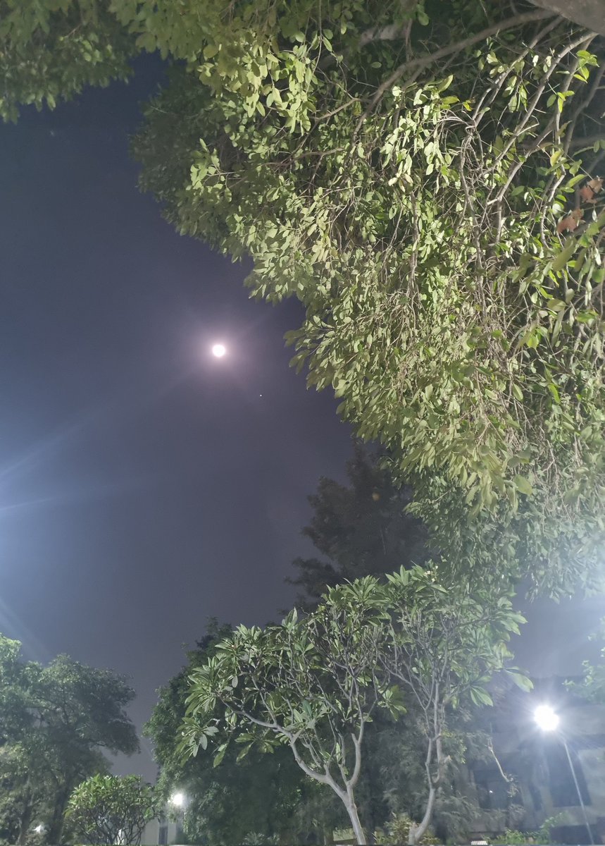 bronz_O_Genius's tweet photo. Ye duniya sirf Pyar ki baatein karti hai,

Chalti toh sirf Matlab se hi hai..!!!😒
#thoughts
#dowrylawmisuse
#Moonshot 🌙 
#Mobilepic 🤳 https://t.co/uf96kQQxat