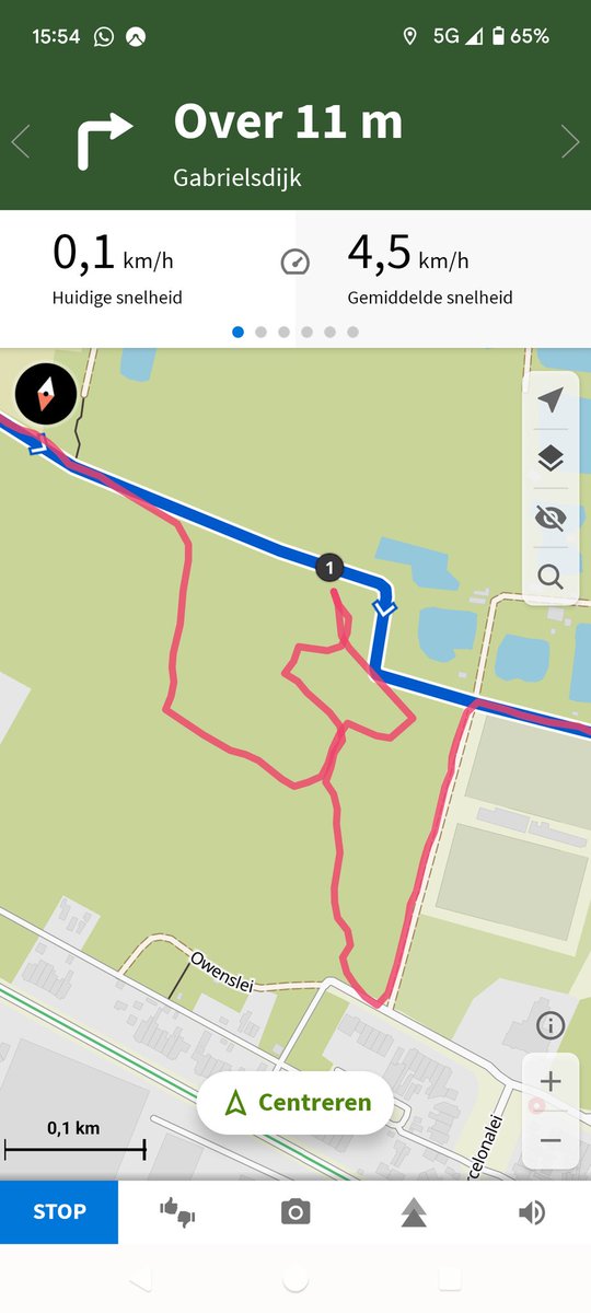 Went for another hike. Blue is what my app told me to follow, red is what happened. 

The path was flooded, so I took a detour. I somehow got into a "do not enter", fenced area. I was stuck in some thorn bushes for about 10 minutes before I finally found a way out 😭