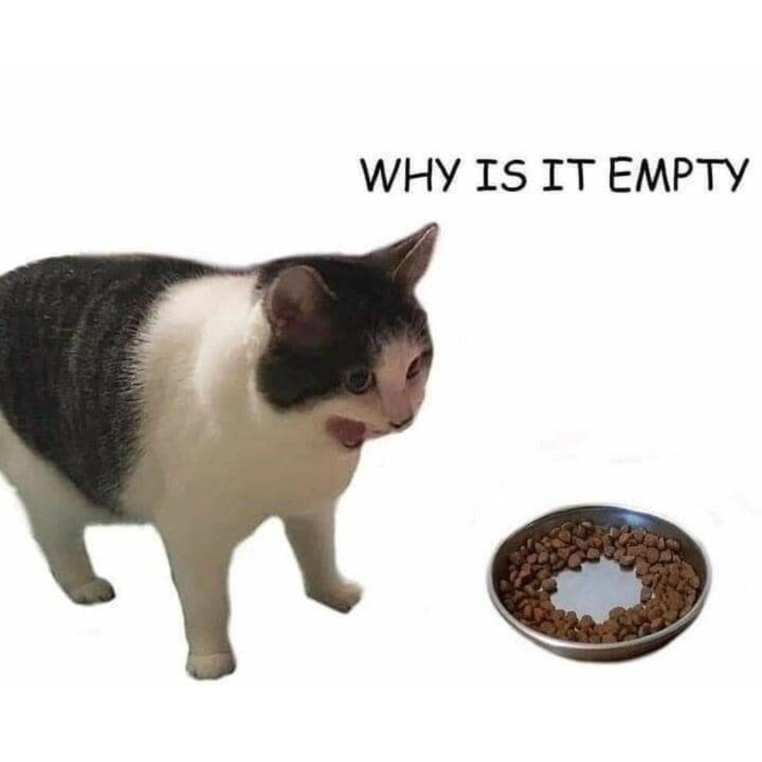WholesomeMeme's tweet photo. https://t.co/0gTRF8Mb0n