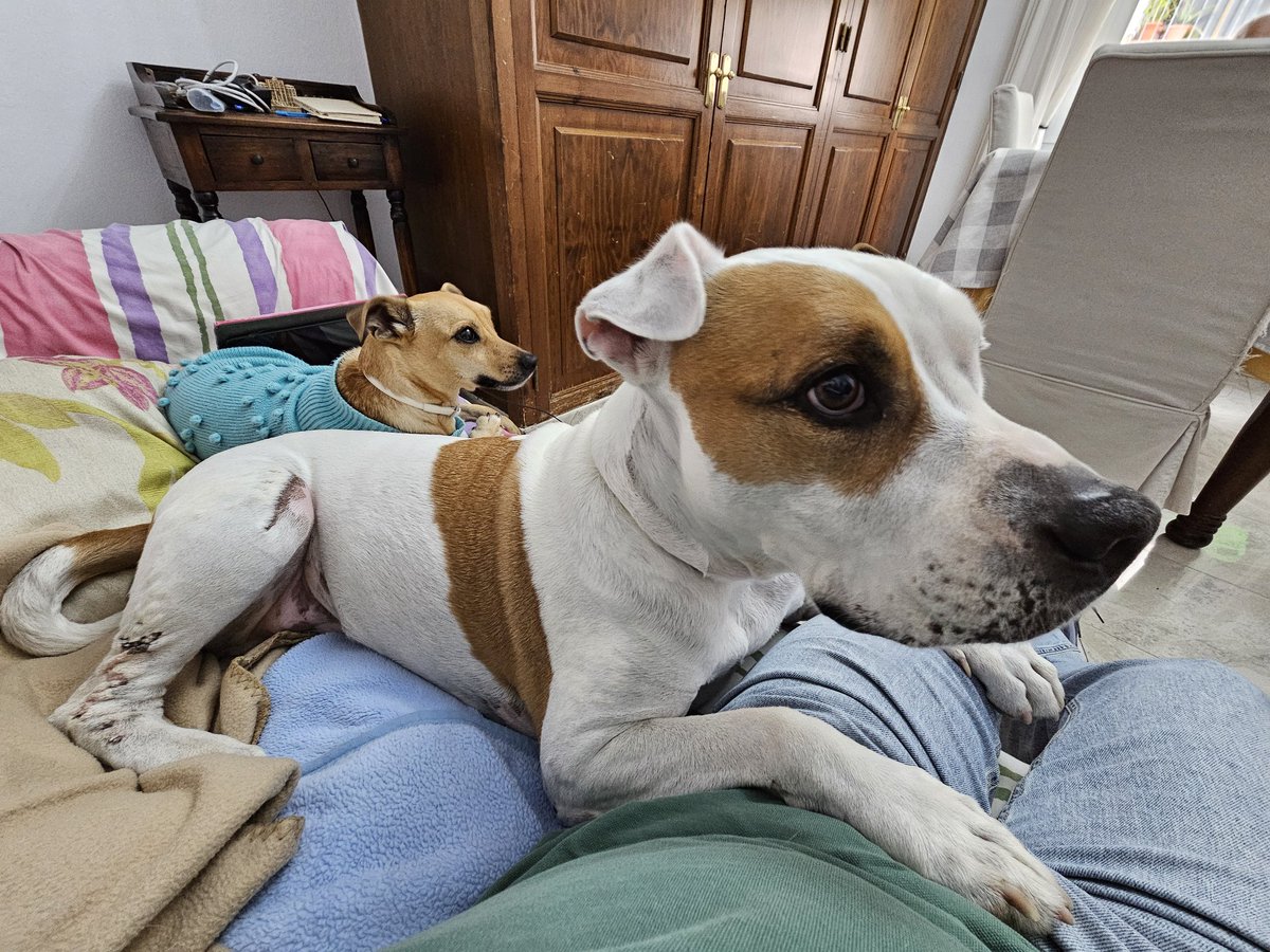 Javier de la Ossa tweet media