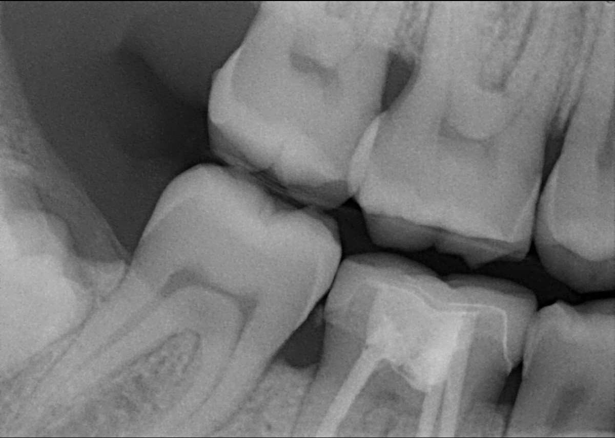 Jomana Abdulrahman tweet media