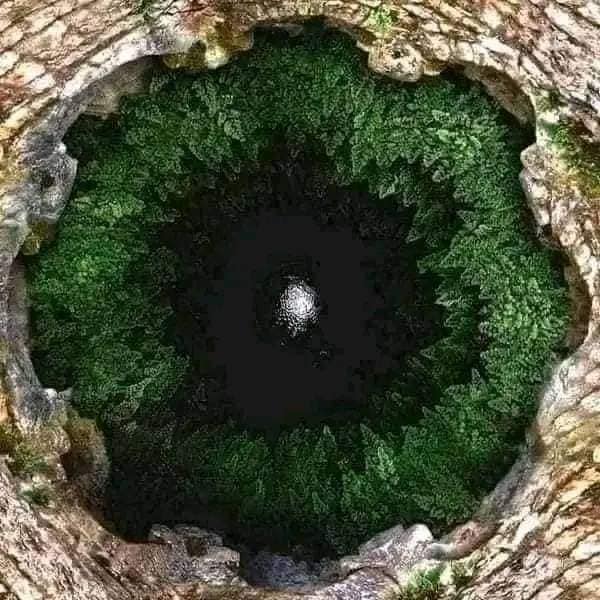 optica_digital's tweet photo. Me temo será deformación profesional
pero ¡veo #ojos por todos lados❗
🤪
#curiosidades #óptico #optometrista #optimovil https://t.co/PPrRsEA4Xj