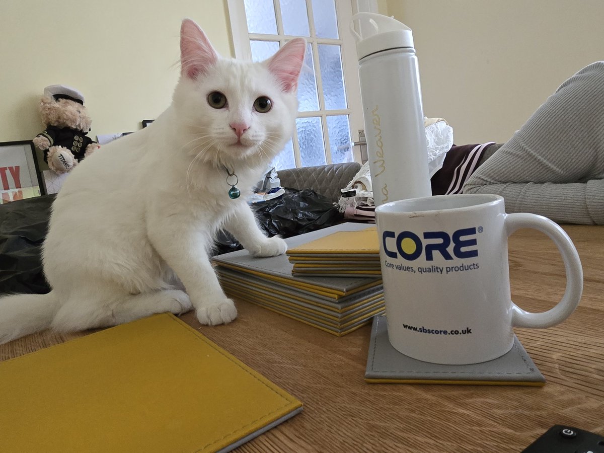 Capser enjoying milk in his Core Cup
<a href="/SBS1897/">SBS Ltd</a>