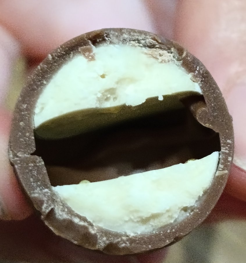 Lilipfem 🐢🐞🇵🇸 tweet media