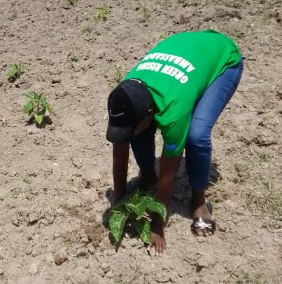 WGYB_NGO's tweet photo. Have you ever considered the powerful role that #tree-planting can play in overcoming critical challenges facing our nation⁉️
Through the #GreenRisingProgram, we are making a meaningful difference for the communities in @GisagaraDistr and beyond.
Here’s how the #tree-planting initiative is driving positive change:
✅Intercropping trees with crops improves soil fertility, prevents erosion, and increases crop yields.
✅ Planting native trees helps restore ecosystems and boosts carbon sequestration, essential in fighting climate change.
✅Fruit trees contribute to food supplies, helping combat malnutrition while fostering sustainable development.
✅Trees serve as windbreaks, mitigating the damage caused by strong winds to buildings and infrastructure.
Your contribution is crucial in planting seeds of #hope, #resilience, and #sustainability for our sustainable country and planet!
@RwandaYouthArts @GenUnlimited_ @unicefrw