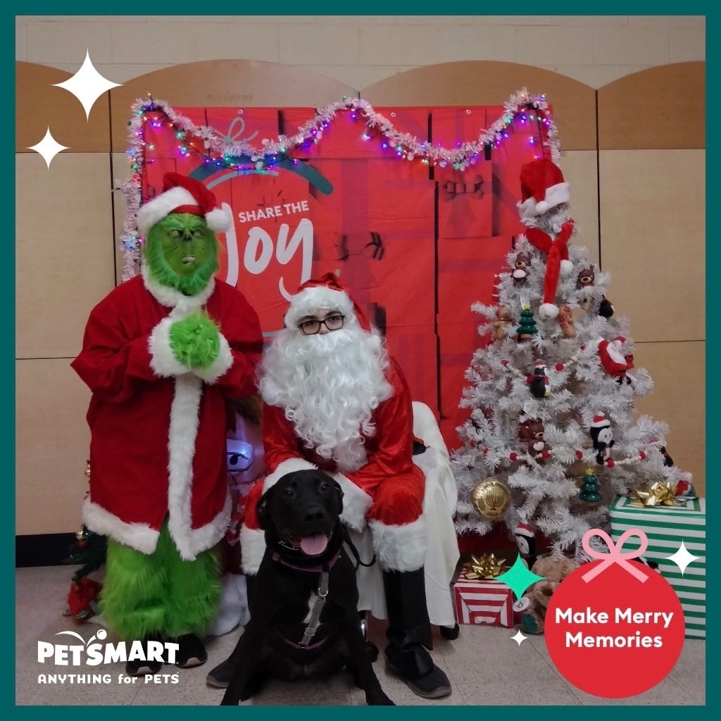Dunkin spent some time with Santa &amp; the Grinch!!! Thanks ⁦<a href="/PetSmart/">PetSmart</a>⁩                                   #Christmas #rescuedogs #dogs #santaclaus