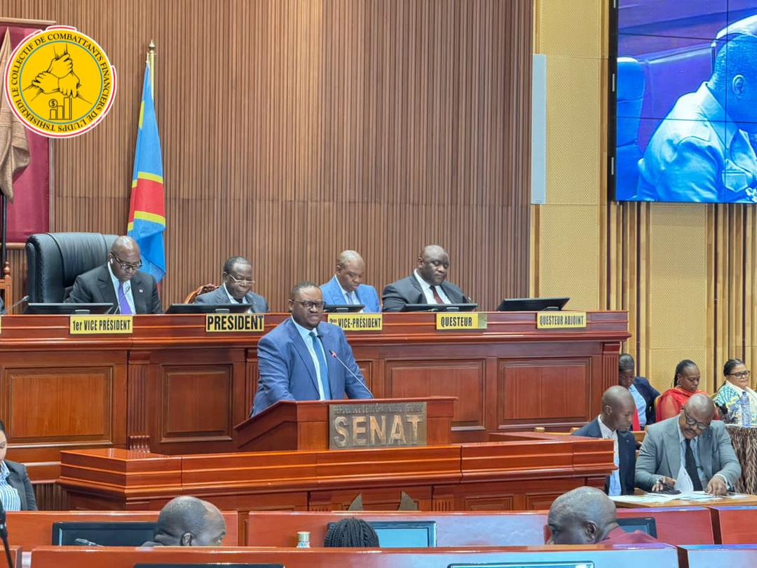 Jac1741Jack's tweet photo. #RDC 🇨🇩 | #Sénat : Le Ministre des Finances, Doudou Fwamba @Likunde, a présenté 7 projets de loi de ratification, visant à lutter contre l’évasion fiscale, financer les secteurs sociaux et renforcer le développement économique. @PatrickTetePT
@KankuSipamba @godefroid072 https://t.co/Rqc3URWQ8d