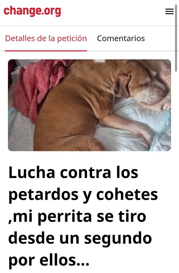 amaregar's tweet photo. Difunde y firma la Petición 
https://t.co/LtFu2ininV
Apoyemos la iniciativa de Sergio Belda, tutor de la perrita NOA que  se tiró de un segundo piso y se rompió las caderas por el ruido de los petardos 
#FinALaPirotecnia
#NoALaPirotecnia
#FiestasSinPirotecnia 
@change_es
@Change https://t.co/GlkQjzMrQU