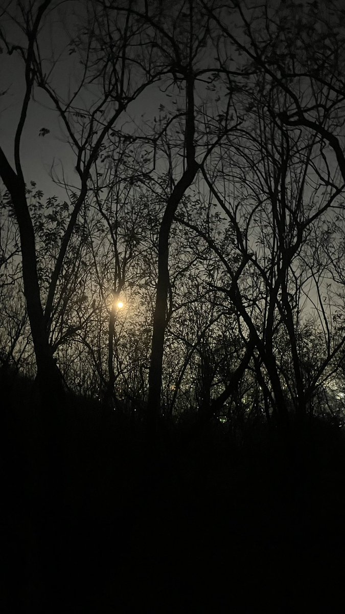 Talking to the moon!
#pune