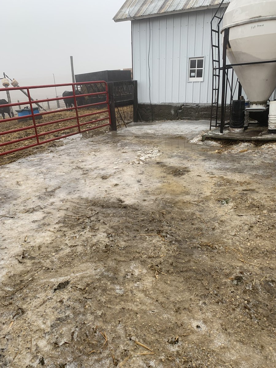 SammyHoeger's tweet photo. Had a bit of an ice storm come thru the area it takes a bit longer to get chores done but at least we didn’t lose power https://t.co/R9Xj3F4sc2
