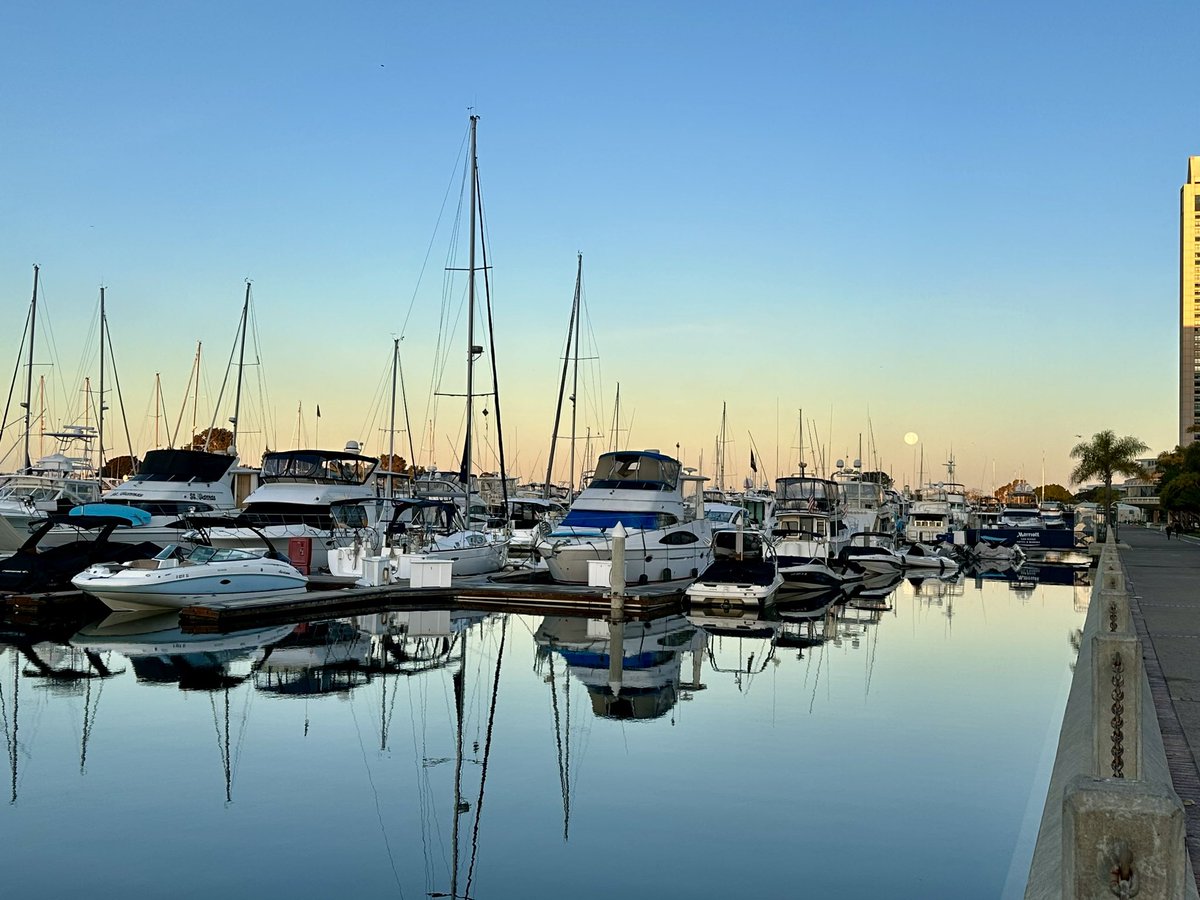 CallingVariants's tweet photo. It’s a beautiful morning here at #ASCB2024 today!!

Come meet the @SyncellInc team at booth #639 to learn more about our one of a kind spatial proteomics platform!

Drop a 👋 below if you will be stopping by! https://t.co/7C1NQ1uAma