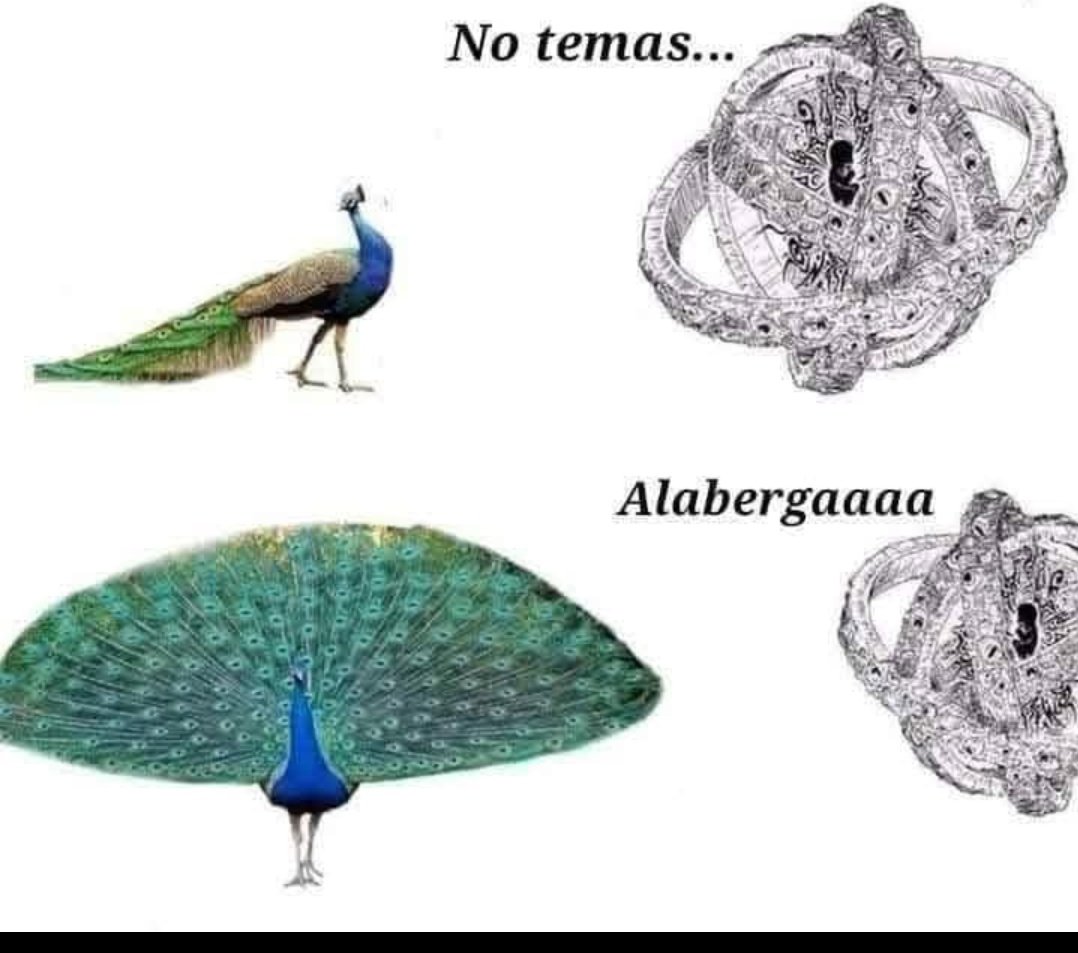RVictorgonzalez's tweet photo. Créditos a su autor desconocido... Jajajaja 🤣 https://t.co/rvg1fLFEdt