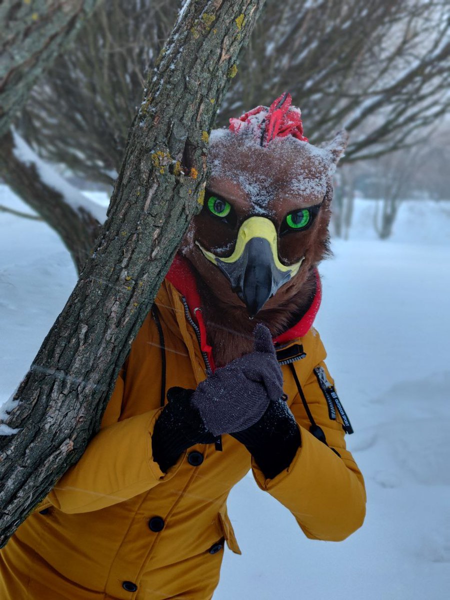 GryphonDark's tweet photo. #fursuit
#gryphon https://t.co/2dSpRRiGBZ