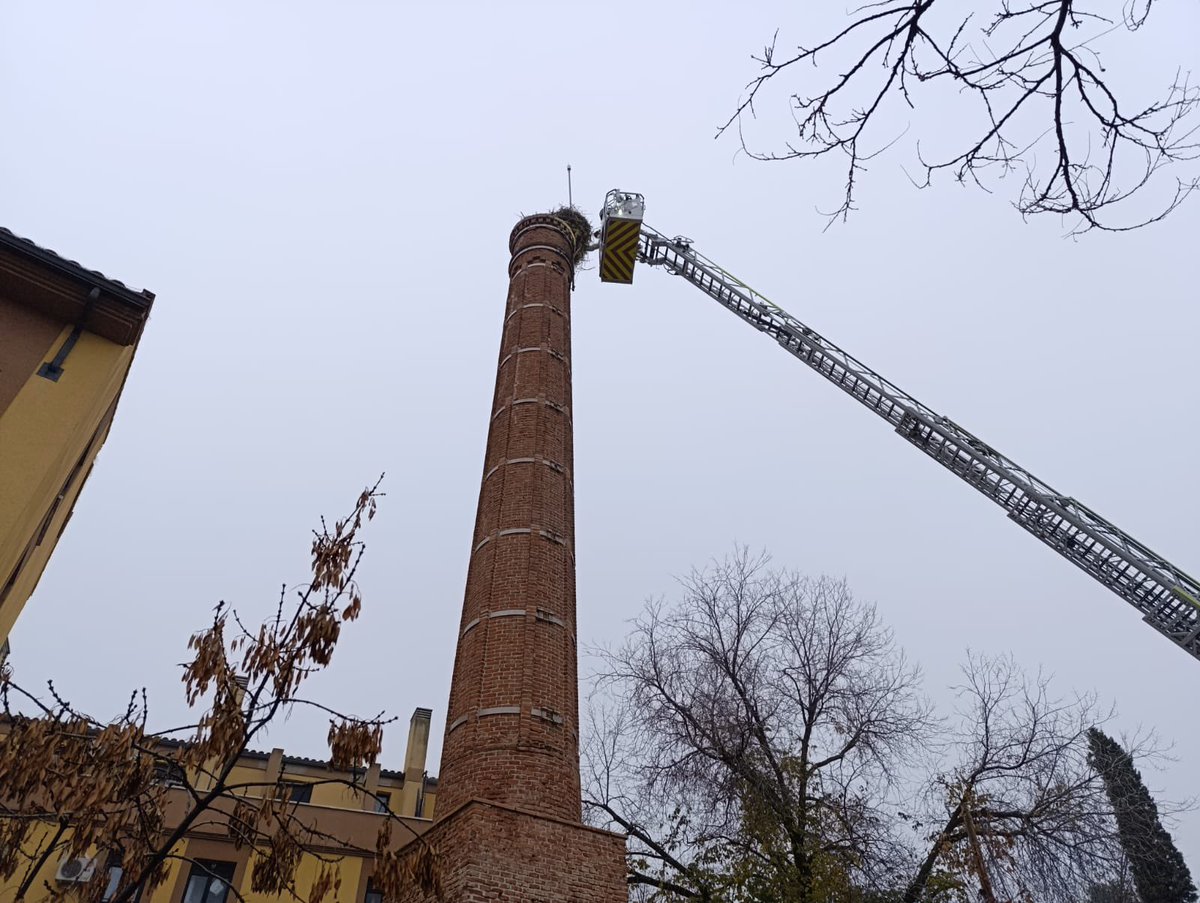 112cmadrid's tweet photo. 🪹 Los #BomberosCM sanearon ayer un nido de cigüeña blanca en #Pinto.
Había riesgo de desprendimiento y comprometía la seguridad de las personas.
Antes, el #GIAM de los #AgentesForestalesCM comprobó que el nido estaba vacío, al ser una especie protegida en la región.
#ASEM112 https://t.co/rZSdCh2oAQ
