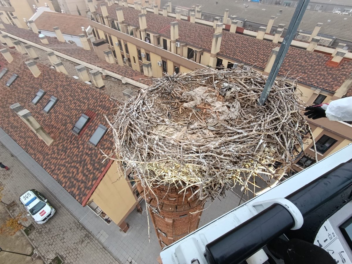 112cmadrid's tweet photo. 🪹 Los #BomberosCM sanearon ayer un nido de cigüeña blanca en #Pinto.
Había riesgo de desprendimiento y comprometía la seguridad de las personas.
Antes, el #GIAM de los #AgentesForestalesCM comprobó que el nido estaba vacío, al ser una especie protegida en la región.
#ASEM112 https://t.co/rZSdCh2oAQ