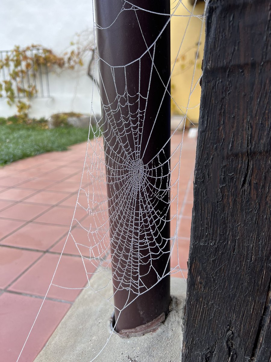 El invierno hace maravillas!!!!!