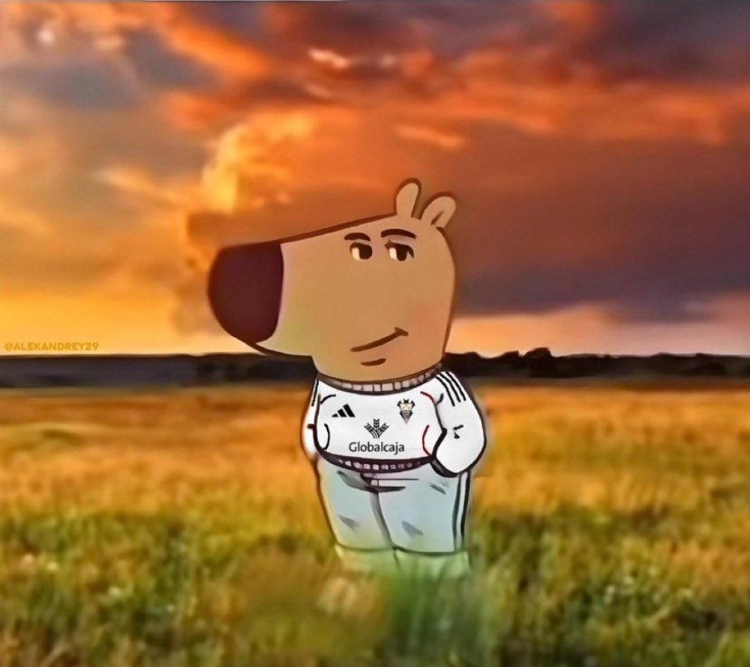 Un domingo así como muy chill…