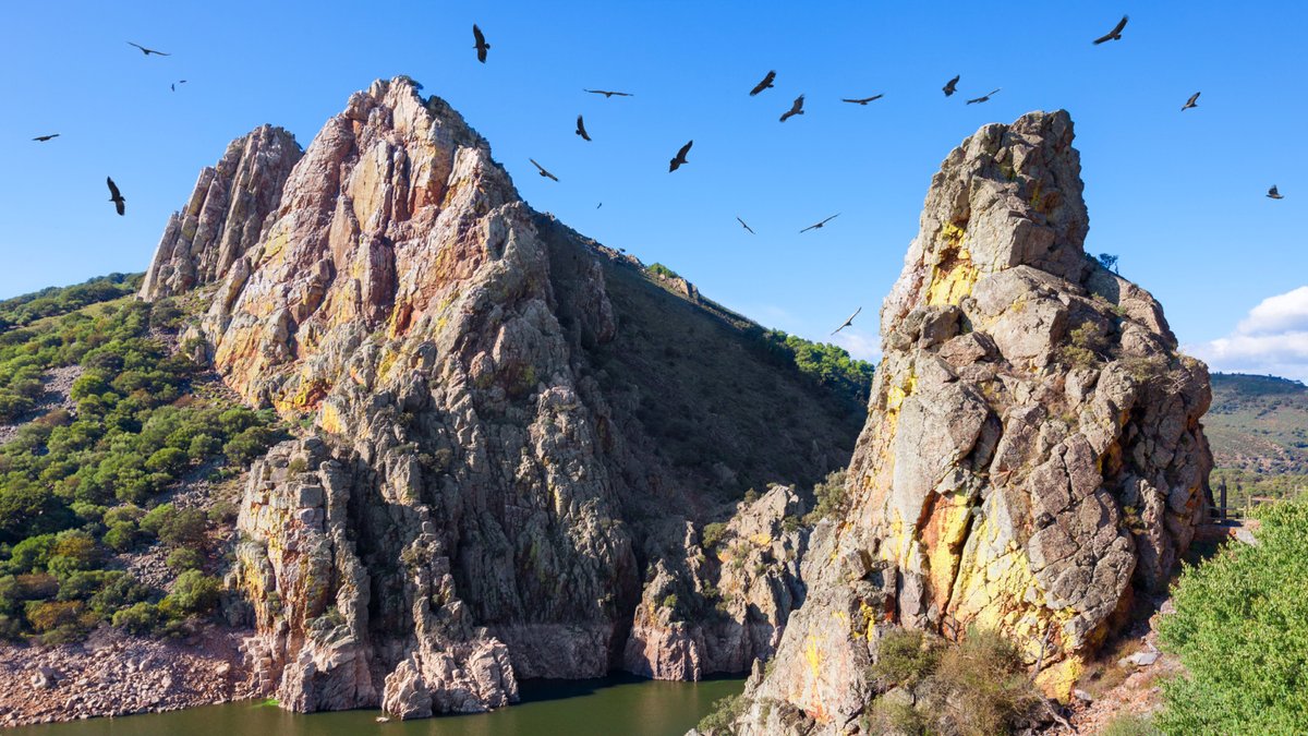 SpainInUSA's tweet photo. Monfragüe National Park is a birdwatcher’s paradise with 280 species, including 400 griffon vulture pairs. Did you know it is home to Europe’s largest colony of black vultures? 🦅

👉 https://t.co/ZU97RmnNre

#VisitSpain #SpainSustainable #Caceres #Extremadura @extremadura_tur https://t.co/GuY96JOFxj