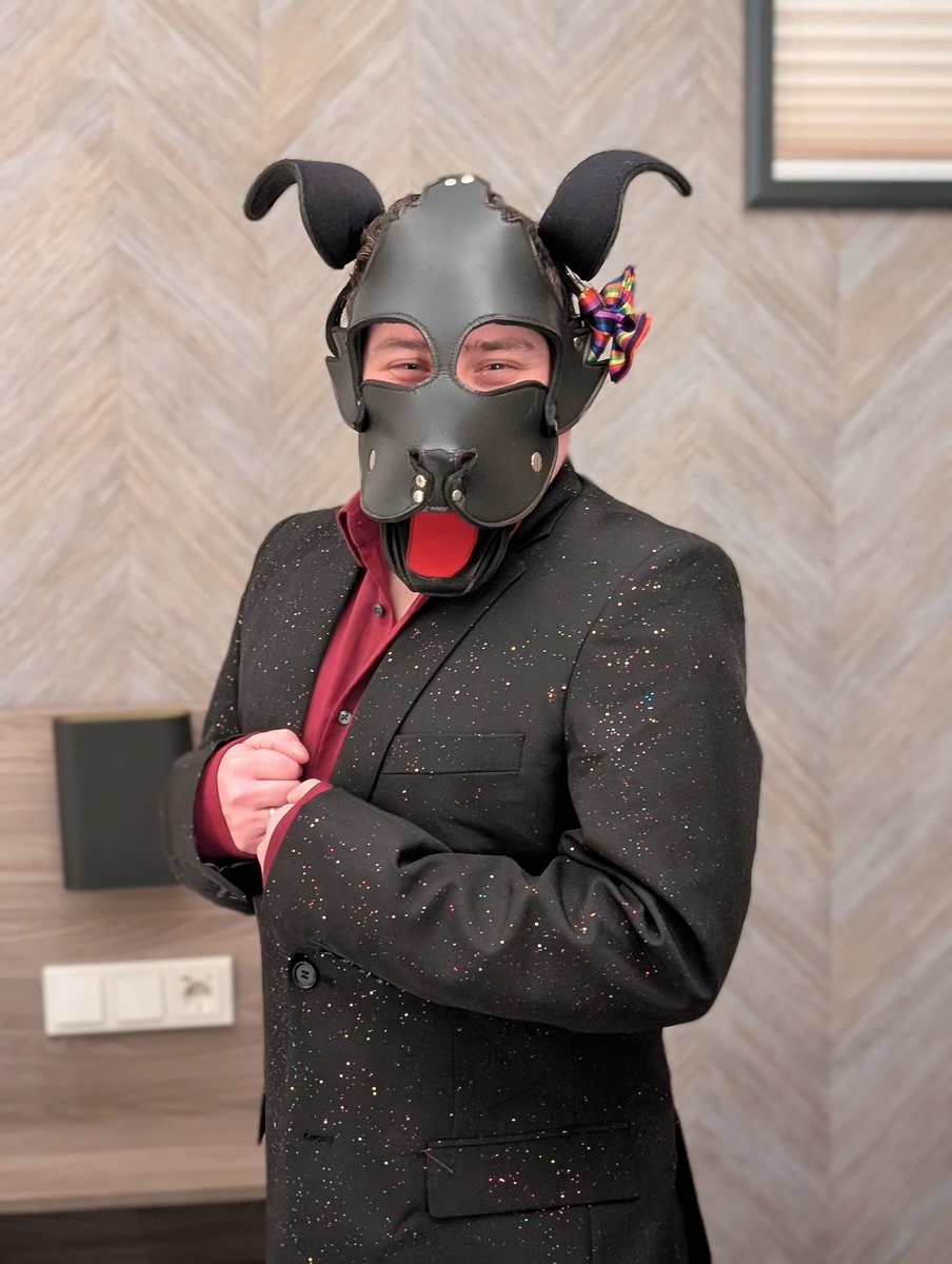 Puppy in a suit for the first time ever because i went to a gala. I look like a very flashy gameshow host.