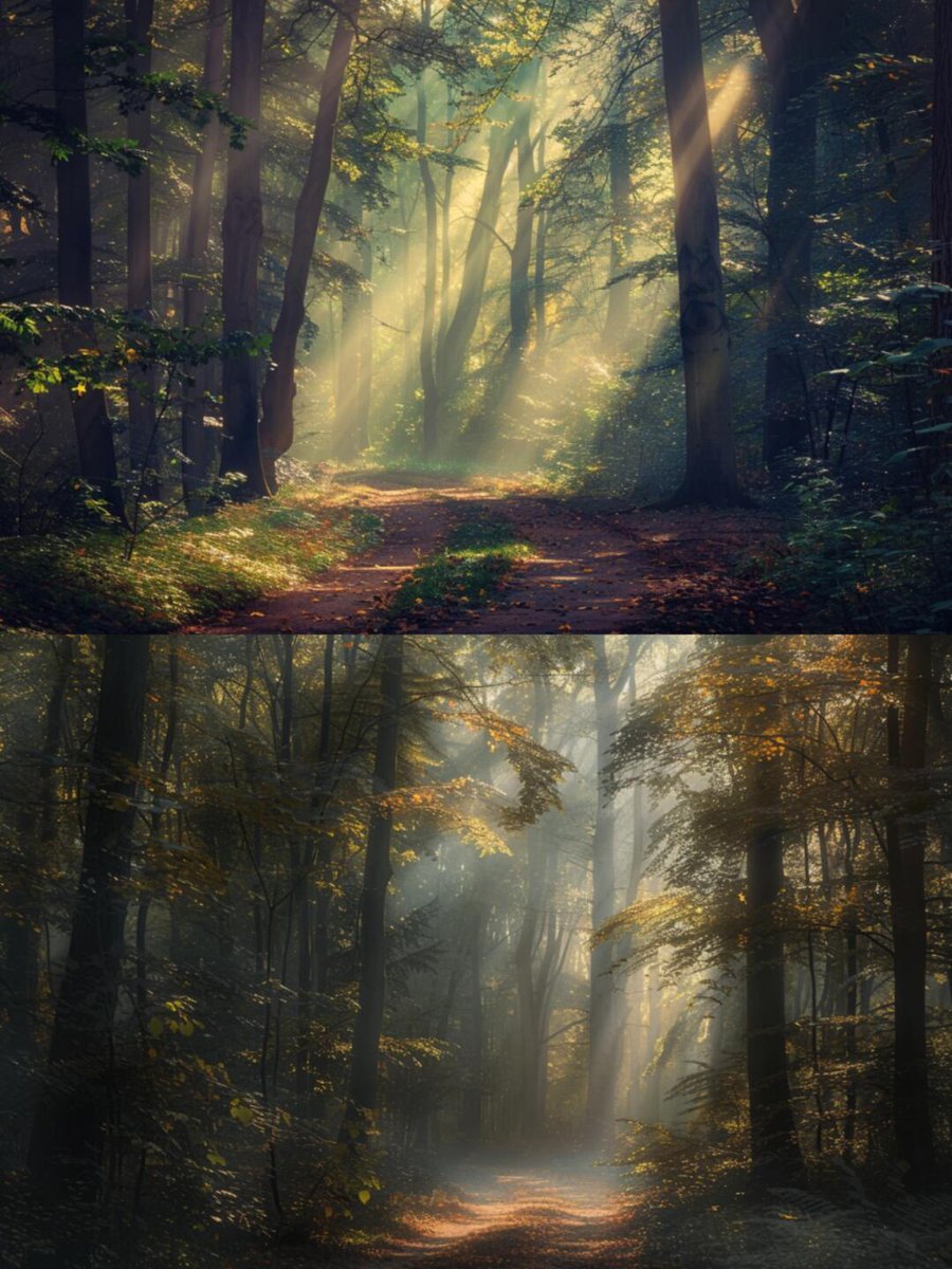 coachcunningha3's tweet photo. 🌳A calm forest scene with sunlight streaming through the trees, creating a dreamy vibe. The whole image gives off a peaceful feeling of being in harmony with nature.❤🥰🥰
#Photography #Scenery #DailyPhoto #WeeklyShare #PhotographyLovers #Weekend #GoodMorning https://t.co/UosHW8ZV3D