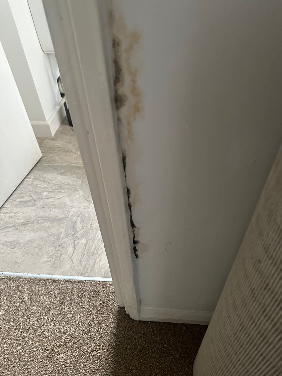 keeplauren28's tweet photo. @PinnacleSF 
I’ve got three questions… 

1. Would you live here with your family? 
2. Why does every member of your team keep lying to me? 
3. Is this acceptable for military/additional health issues? 

Look forward to your response
@PinnacleSF @_pinnaclegroup @RoyalNavy https://t.co/okxo8fOCqr