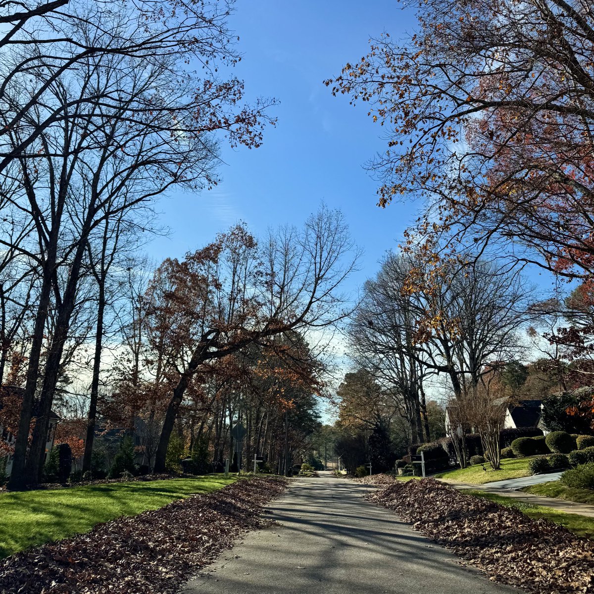 Marshall Haas 🏎 tweet media