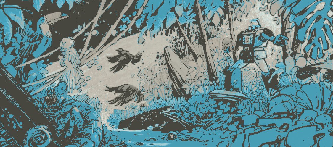 𝓑𝐞𝐚𝐜𝐡𝐜𝐨𝐦𝐛𝐞𝐫 (@geolgysc) on Twitter photo 