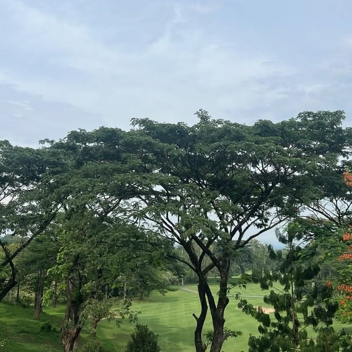 kuoroo's tweet photo. https://t.co/MTDNc7u3Uz