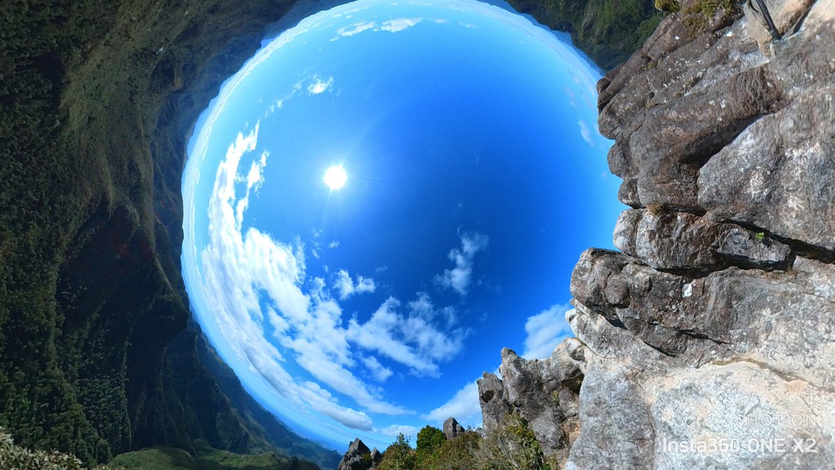VisualExcursion's tweet photo. Coromandel Forest Park
New Zealand
Camera: Insta360 One X2
#newzealand #worldtraveler #nature #explorenewzealand #naturefix https://t.co/mwqvhJcDoc