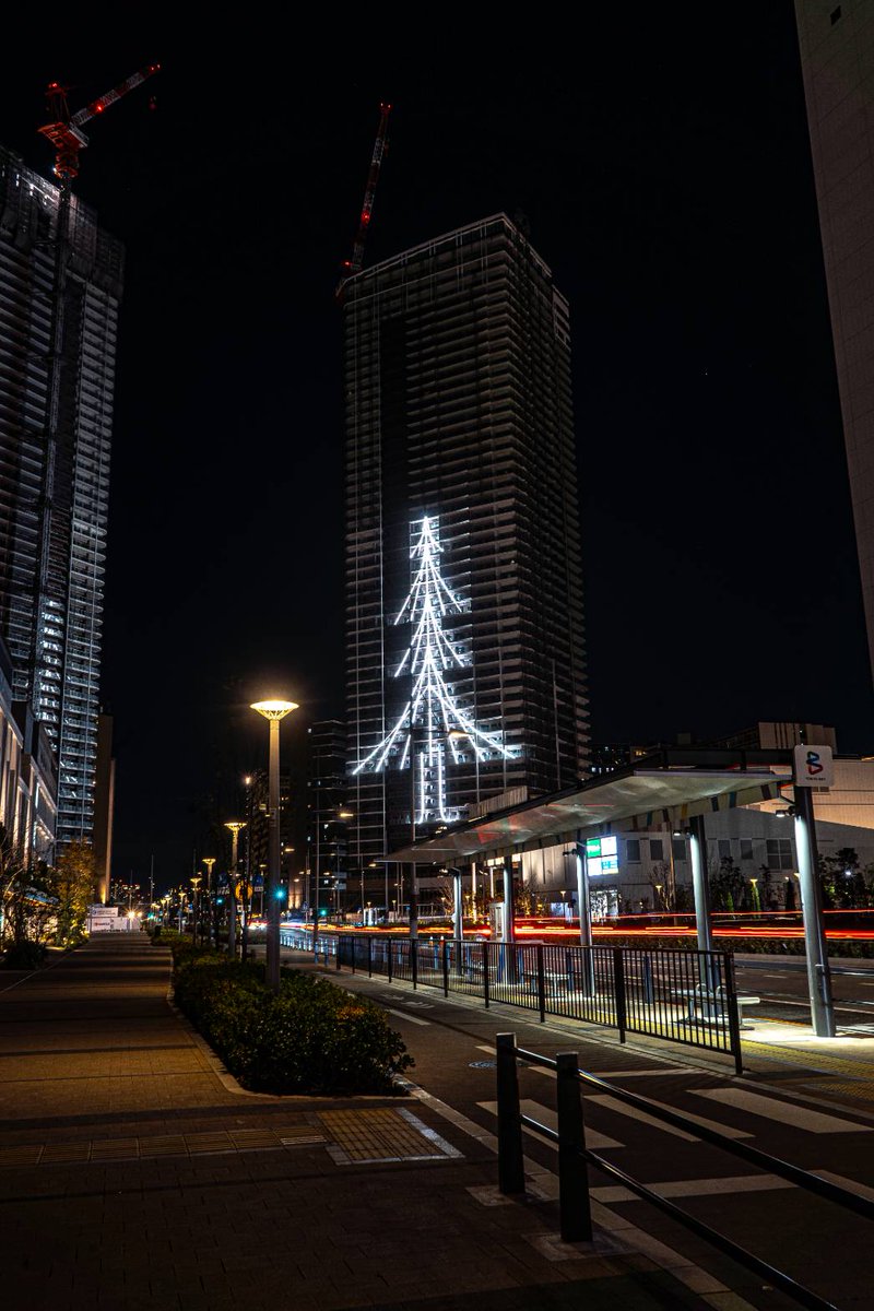 クリスマスツリー発見