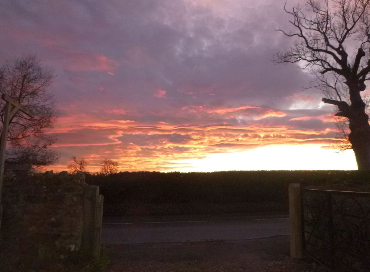 LSterneTrust's tweet photo. The sky just now from Shandy Hall #ShandyHall #sunset https://t.co/Vt6BMyhYv1