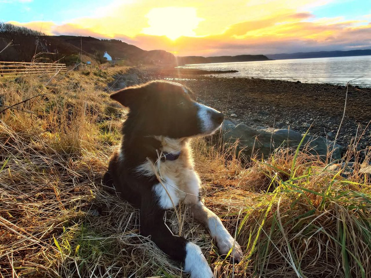 don_esson's tweet photo. #IsleofSkye
#Uig #Cuil
Time spent at the seashore is never wasted. 🐾🐾🐚🌊☀️ https://t.co/MkdasDE3dt