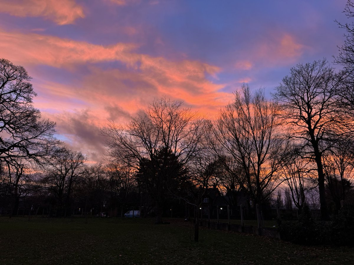 Good evening Tottenham.