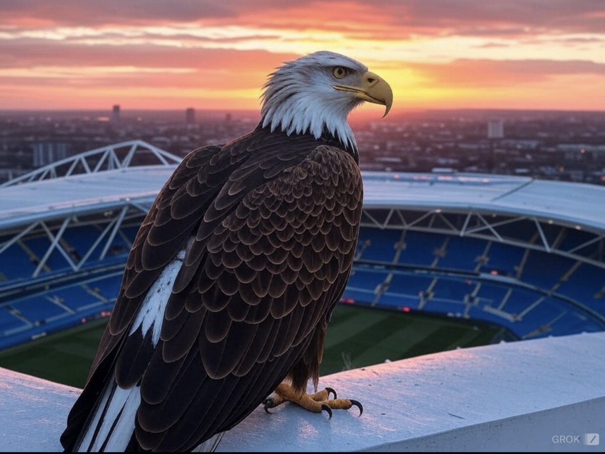 CPFC's tweet image. Made by Grok.

#CPFC