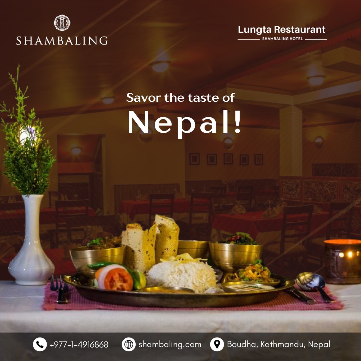 ShambalingHotel's tweet photo. 🍴 𝗧𝗮𝘀𝘁𝗲 𝘁𝗵𝗲 𝗘𝘀𝘀𝗲𝗻𝗰𝗲 𝗼𝗳 𝗡𝗲𝗽𝗮𝗹 𝗮𝘁 𝗟𝘂𝗻𝗴𝘁𝗮 𝗥𝗲𝘀𝘁𝗮𝘂𝗿𝗮𝗻𝘁 🍴
Indulge in authentic flavors that celebrate Nepal’s rich culinary heritage. 🌿✨

#LungtaRestaurant #TasteOfNepal #CulinaryDelights #ShambalingHotel https://t.co/3xEH4ppCKP