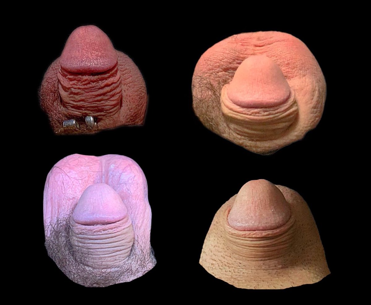 lilcockbigballz's tweet photo. 🍤SHRIMP GANG🍤
#shrimpgang #smalldick #pussyfree #beta #whiteboi #whiteboy #loser #cuckold #bdsm #sph #cbt #exposed #humiliation #goom #gooner #kink #fetish #smallpenishumiliation #sizematters #biggerisbetter #teamlocked #bnwo #saynotowhiteboys https://t.co/cEZKBIOqE7