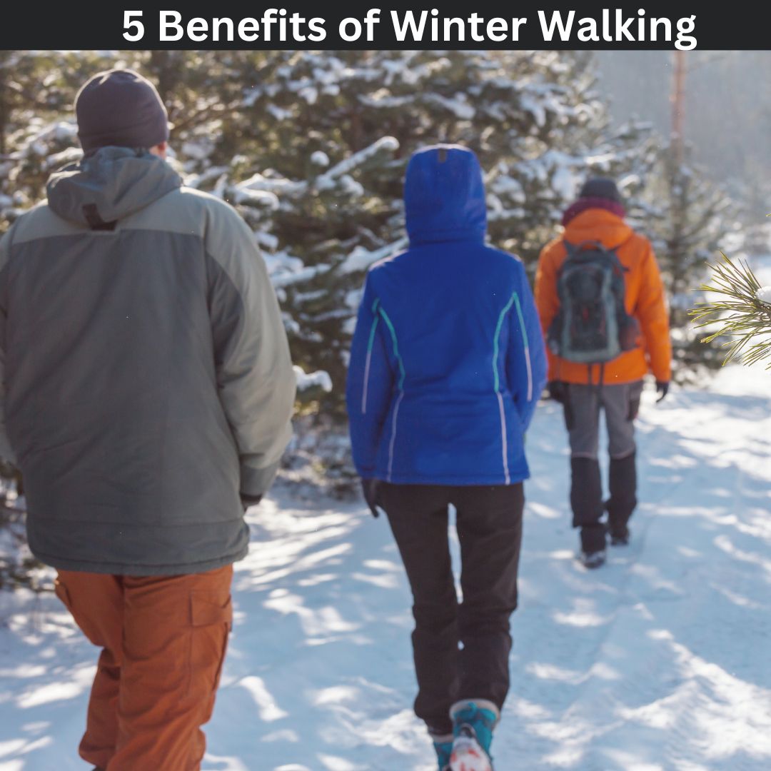 Even if the gym is closed today, take this opportunity to go outside for a brisk walk. There is lots of benefits to outdoor physical activity during the winter
blog.cwf-fcf.org/index.php/en/b….