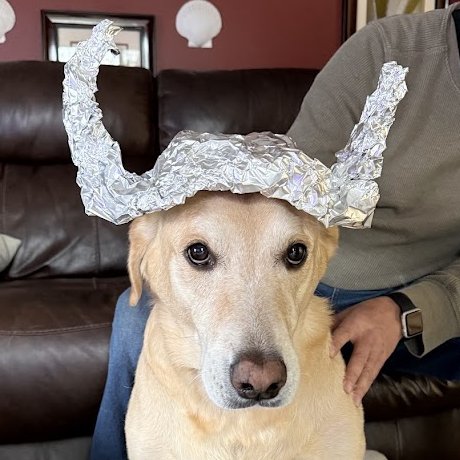MarlinIsAGoodB1's tweet photo. I did not like it. I did not like it at all. But I didded it fur Chuck Billy because I lumv hims. #tinhatsforCB #DogsofTwitter #RIPCB #ChuckBilly @MaineGolden @Huckhound14 @Penny_Lane_Pup
@cooperscocoanc1
@syd_akaYog
@MomofOdieDexter
@FlokiTheFizzgig https://t.co/I49BnCrpoQ