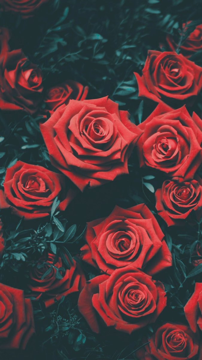 ❅ 𝑯𝒊𝒕𝒐𝒎𝒊 ❅ (New📌) tweet media