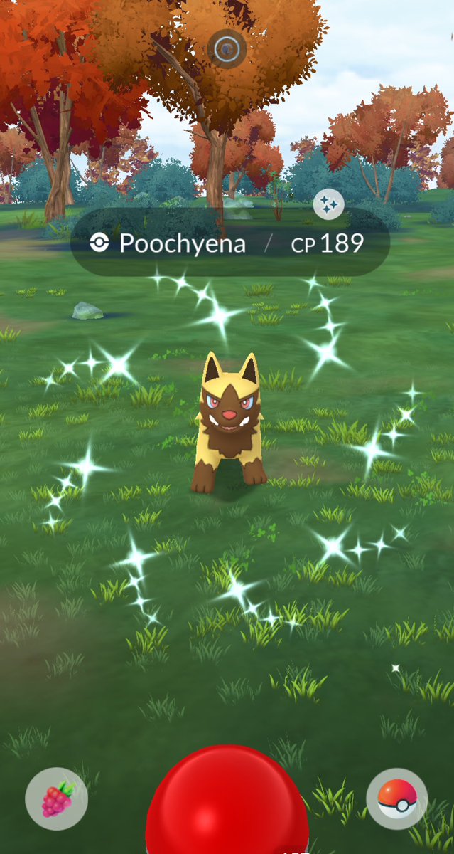 KingCongnor's tweet photo. Found my first golden pooch ✨

#PokemonGO #PokemonGOfriends #PokemonGOApp #ShinyPokemon https://t.co/bTMHE8gkzA