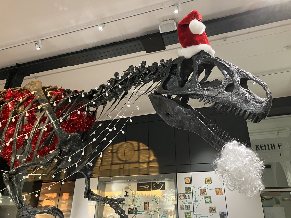 devilledtoads's tweet photo. The Devilled Toad wants you to know that you should go and check out Christmas Roary at @lapworthmuseum https://t.co/saW4qYw8h0