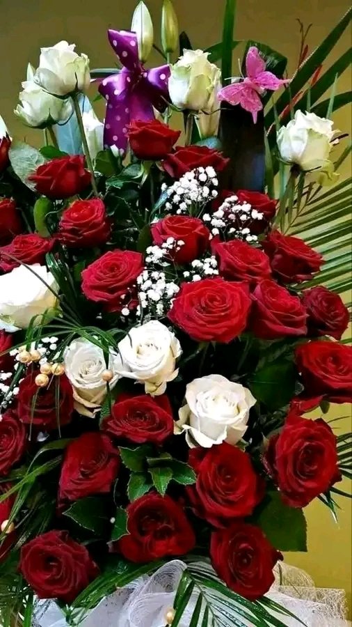 وضااااااح ( 2) 🇾🇪 🦅 tweet media