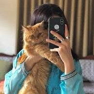 cottontailva980's tweet photo. _محبـــــت کـــــے عـــــادی لـــــوگ لہجـــــوں کـــــی سحتـــــی بـــــرداشـــــت نہیں کـــــر سکتـــــے۔۔_

______________💗❤‍🔥🌾 https://t.co/Y8LaUAMroi