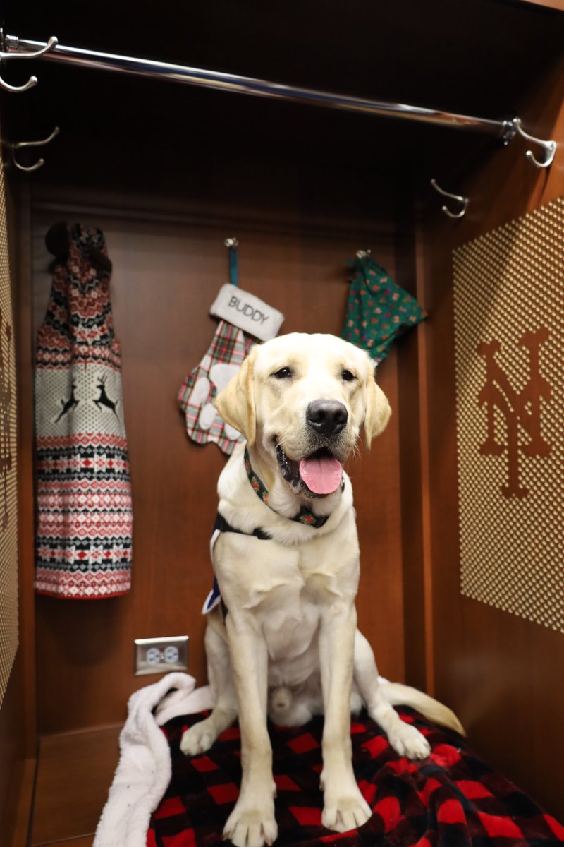 MetsVetDog's tweet photo. The stockings were hung in the clubhouse with care π#12DaysofBuddy #LGM https://t.co/WyGnrw21Zg